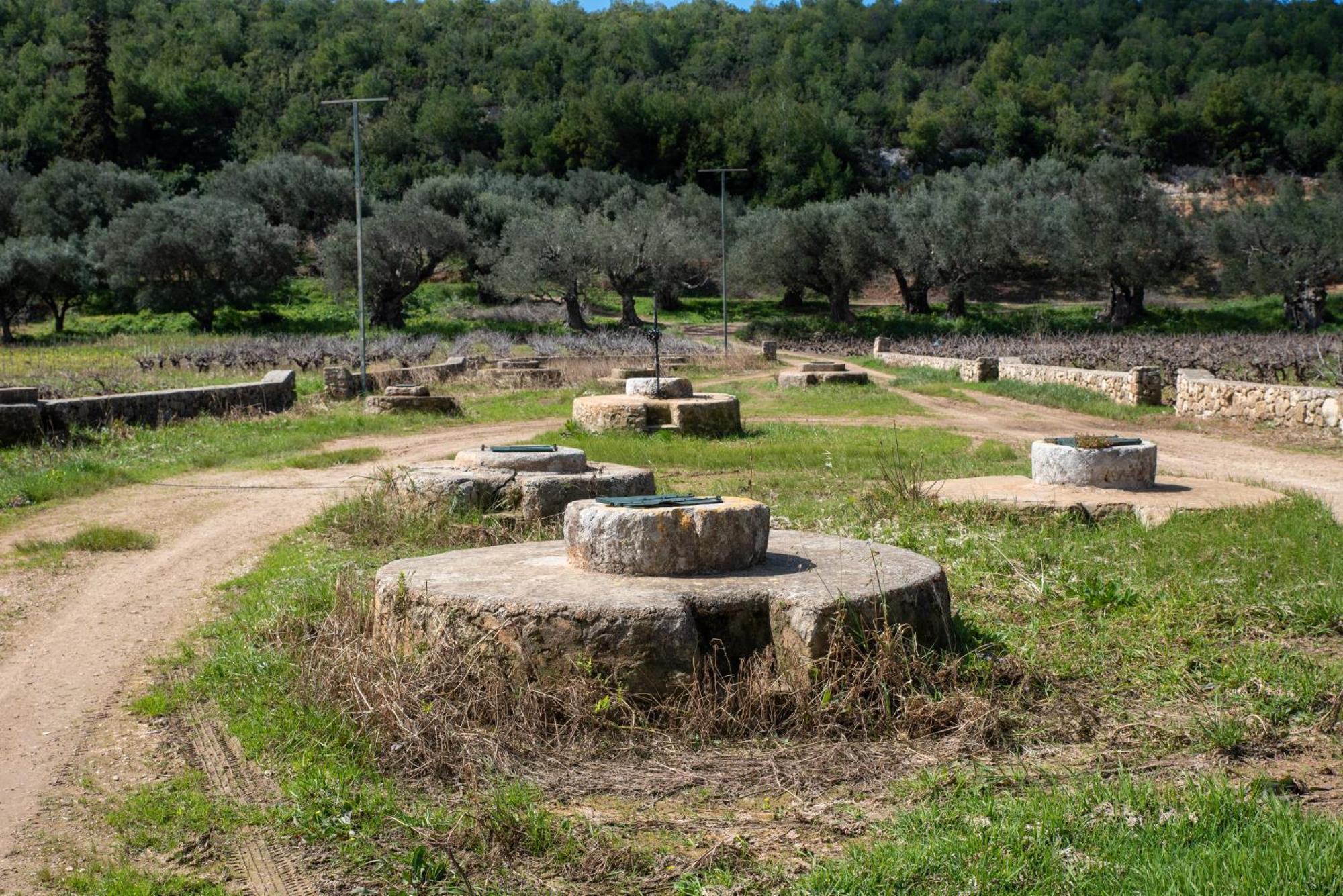 Timos Villa Agalás